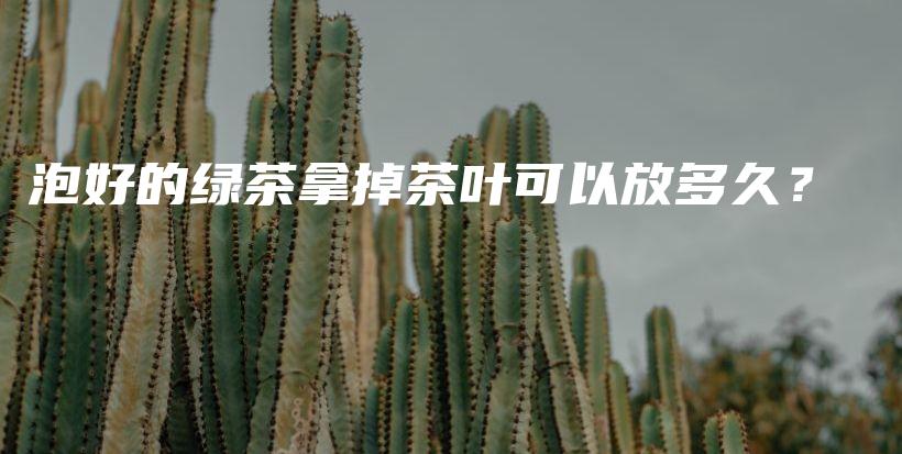 泡好的绿茶拿掉茶叶可以放多久？插图