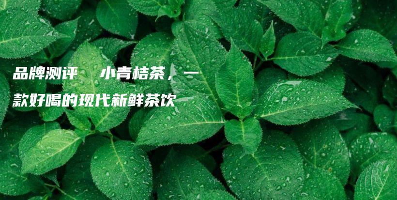 品牌测评  小青桔茶，一款好喝的现代新鲜茶饮插图