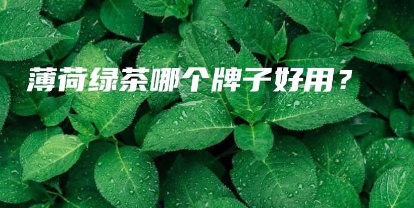 薄荷绿茶哪个牌子好用？插图