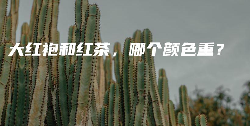 大红袍和红茶，哪个颜色重？插图