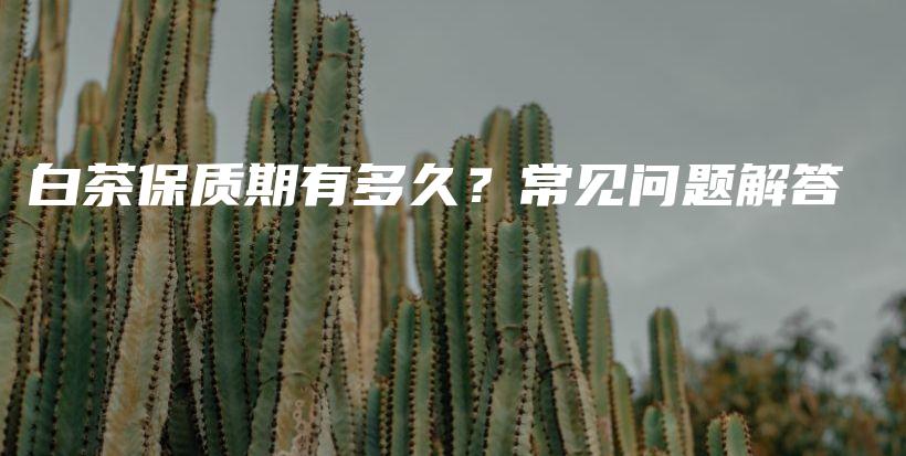 白茶保质期有多久？常见问题解答插图