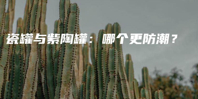 瓷罐与紫陶罐：哪个更防潮？插图