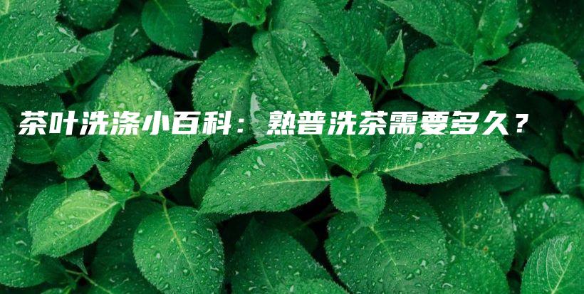 茶叶洗涤小百科：熟普洗茶需要多久？插图