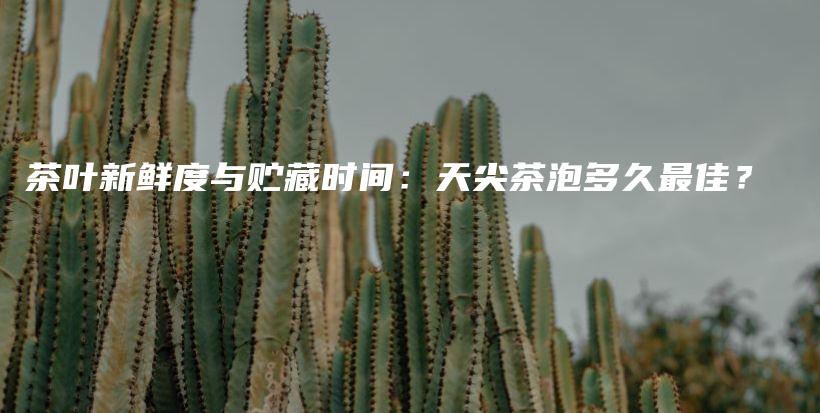 茶叶新鲜度与贮藏时间：天尖茶泡多久最佳？插图