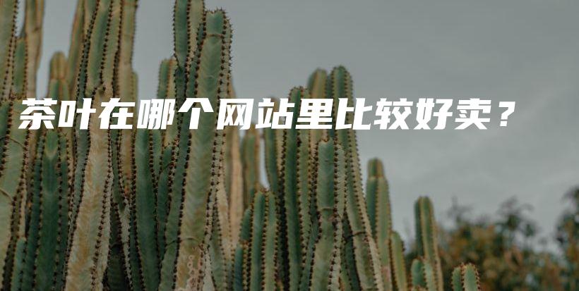 茶叶在哪个网站里比较好卖？插图