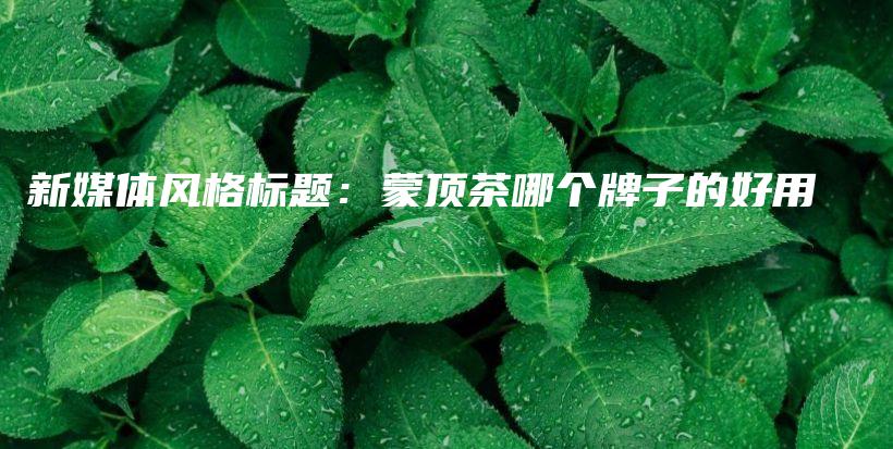 新媒体风格标题：蒙顶茶哪个牌子的好用插图