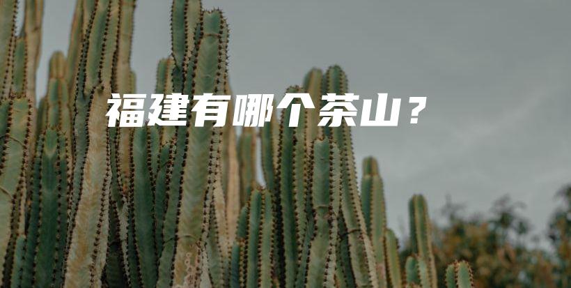 福建有哪个茶山？插图