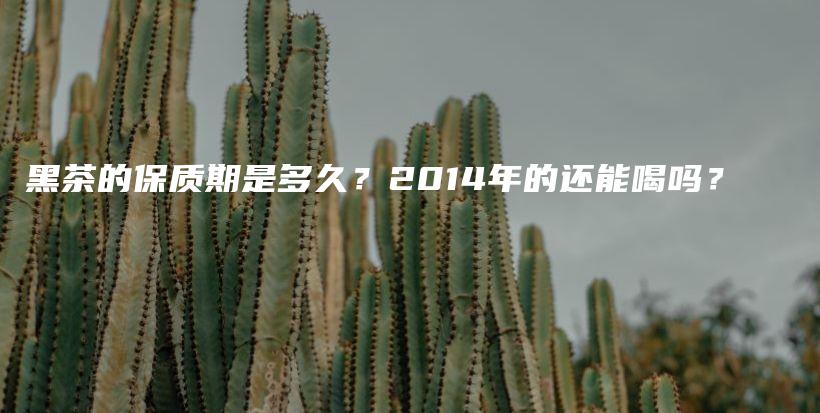 黑茶的保质期是多久？2014年的还能喝吗？插图