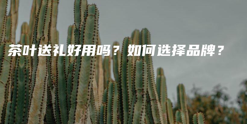 茶叶送礼好用吗？如何选择品牌？插图