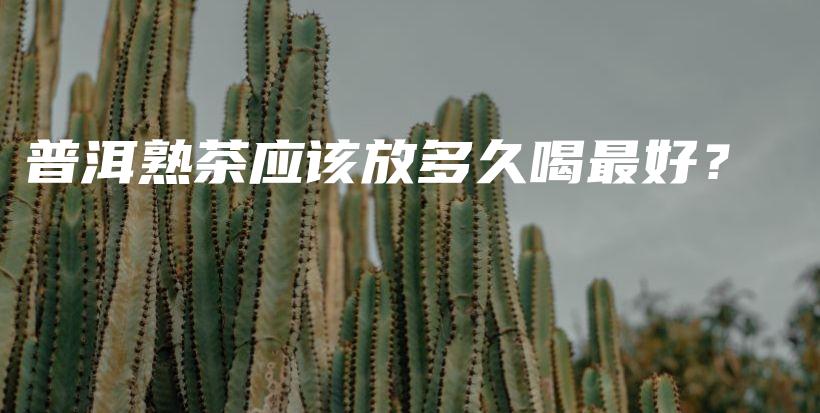 普洱熟茶应该放多久喝最好？插图