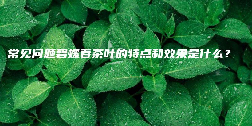 常见问题碧螺春茶叶的特点和效果是什么？插图