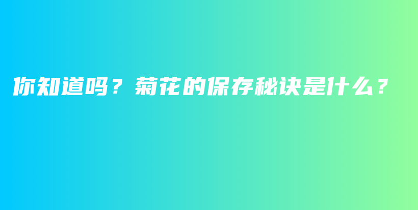 你知道吗？菊花的保存秘诀是什么？插图