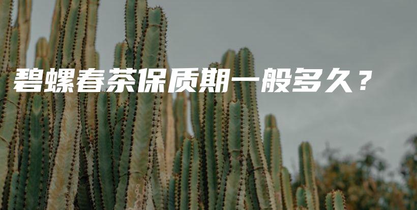 碧螺春茶保质期一般多久？插图