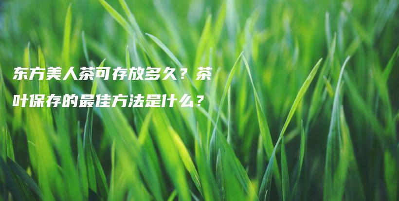 东方美人茶可存放多久？茶叶保存的最佳方法是什么？插图