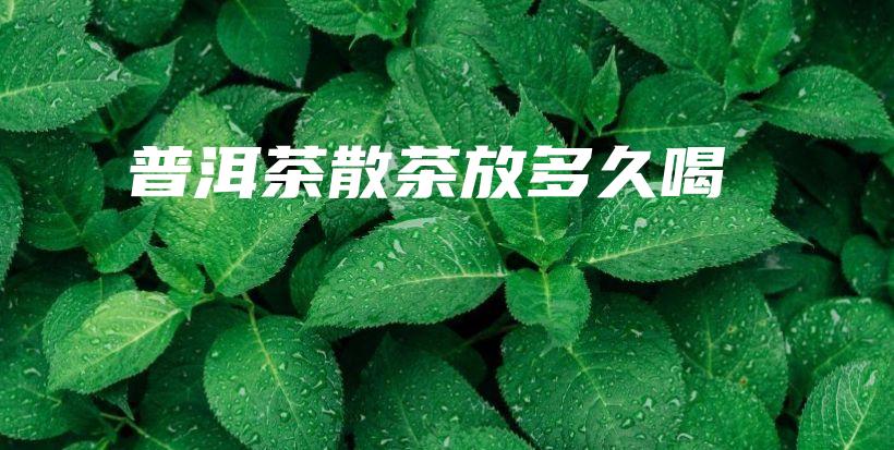 普洱茶散茶放多久喝插图