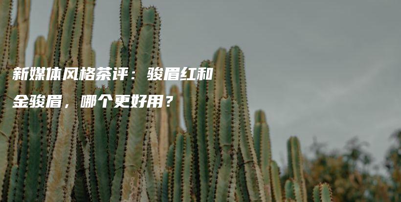 新媒体风格茶评：骏眉红和金骏眉，哪个更好用？插图