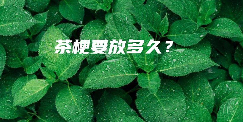 茶梗要放多久？插图