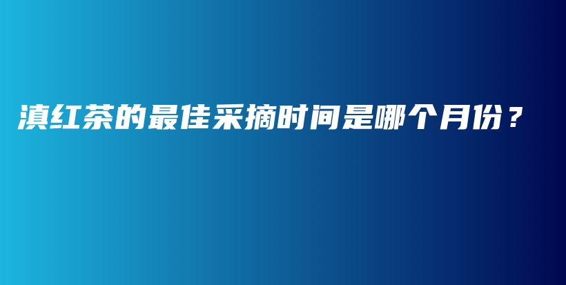 滇红茶的最佳采摘时间是哪个月份？插图