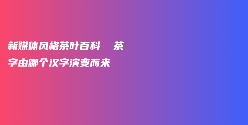 新媒体风格茶叶百科  茶字由哪个汉字演变而来插图