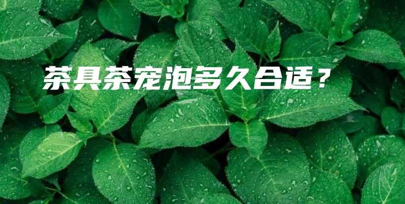 茶具茶宠泡多久合适？插图