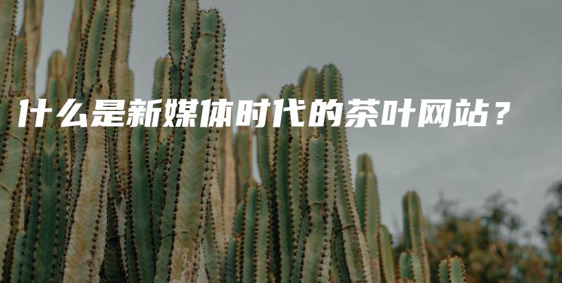 什么是新媒体时代的茶叶网站？插图