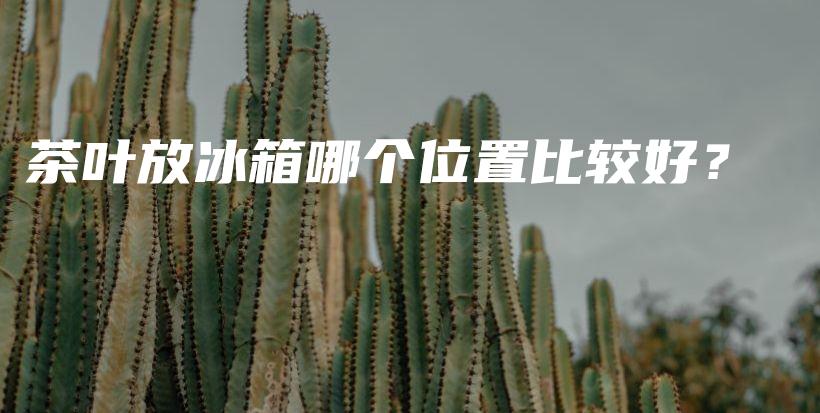 茶叶放冰箱哪个位置比较好？插图