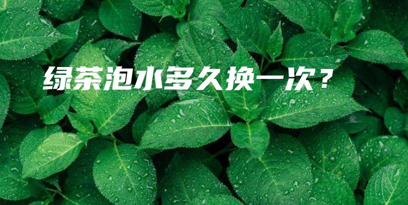 绿茶泡水多久换一次？插图