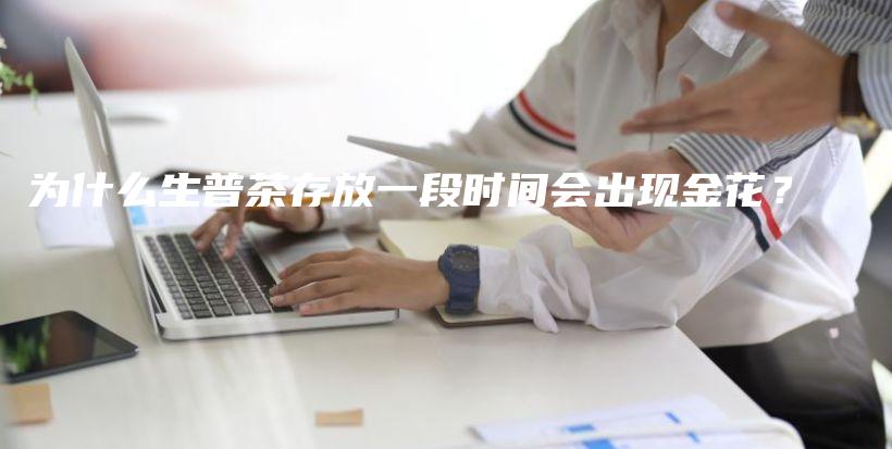 为什么生普茶存放一段时间会出现金花？插图