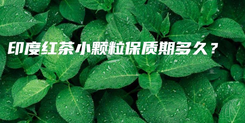 印度红茶小颗粒保质期多久？插图