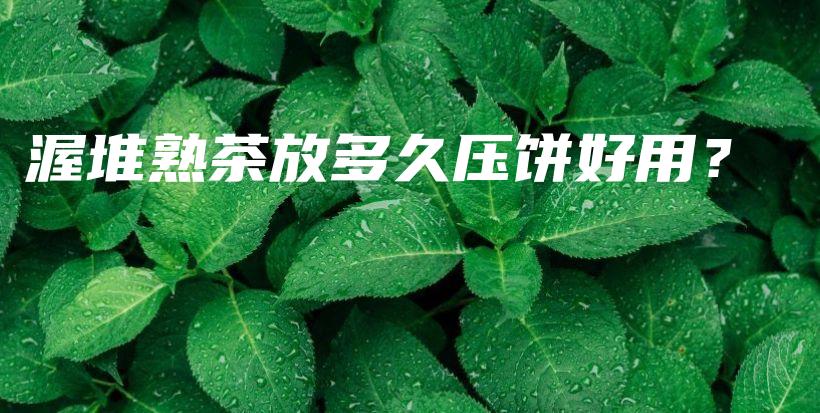 渥堆熟茶放多久压饼好用？插图