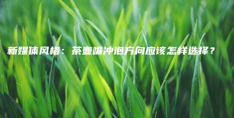 新媒体风格：茶壶嘴冲泡方向应该怎样选择？插图