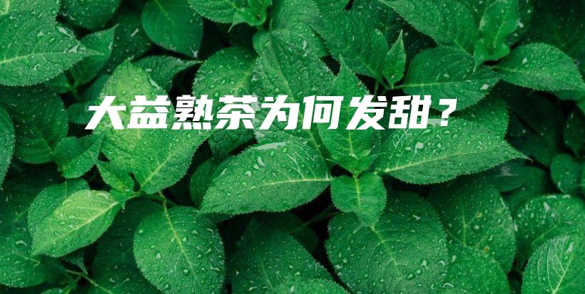 大益熟茶为何发甜？插图