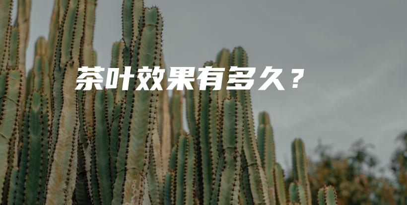 茶叶效果有多久？插图