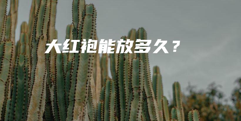 大红袍能放多久？插图