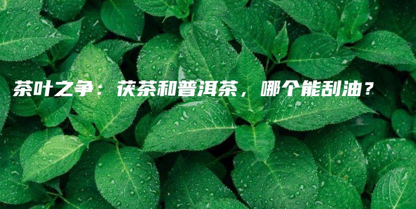 茶叶之争：茯茶和普洱茶，哪个能刮油？插图