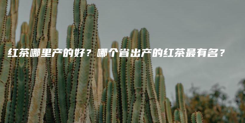 红茶哪里产的好？哪个省出产的红茶最有名？插图