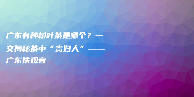 广东有种树叶茶是哪个？一文揭秘茶中“贵妇人”——广东铁观音插图