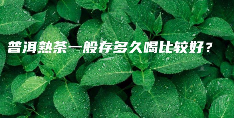 普洱熟茶一般存多久喝比较好？插图