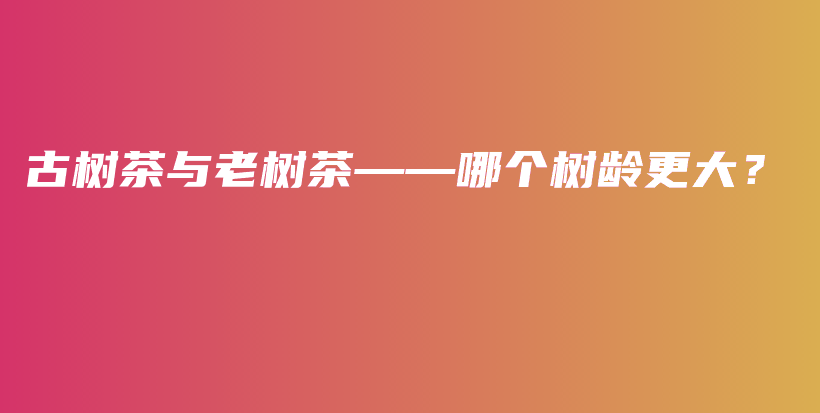 古树茶与老树茶——哪个树龄更大？插图