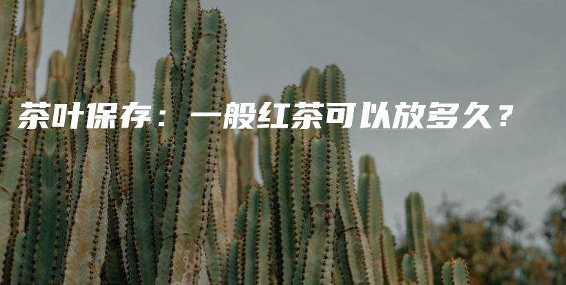 茶叶保存：一般红茶可以放多久？插图