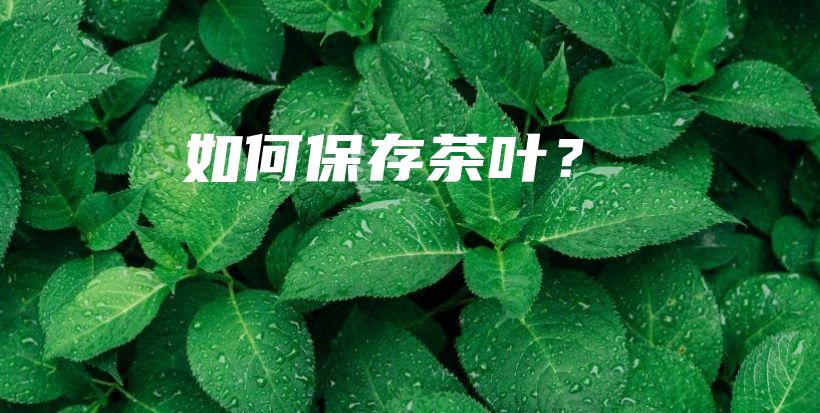 如何保存茶叶？插图