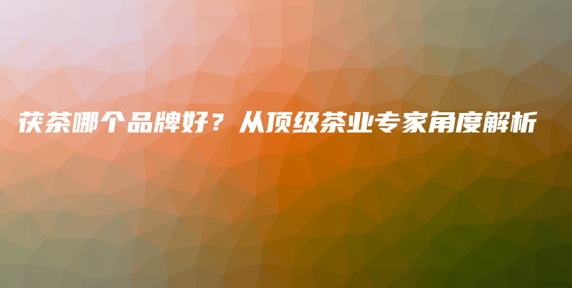 茯茶哪个品牌好？从顶级茶业专家角度解析插图